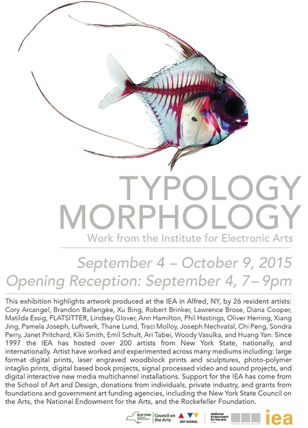 Typology Morphology